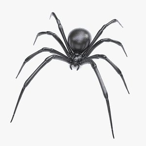 BlackWidow 3D model