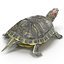 3d turtles 2 modeled