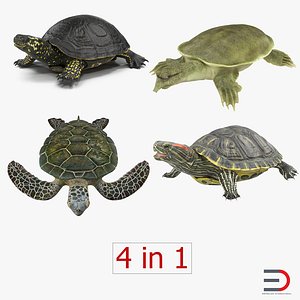 3d turtles 2 modeled