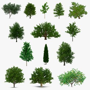 summer trees 3 3D model