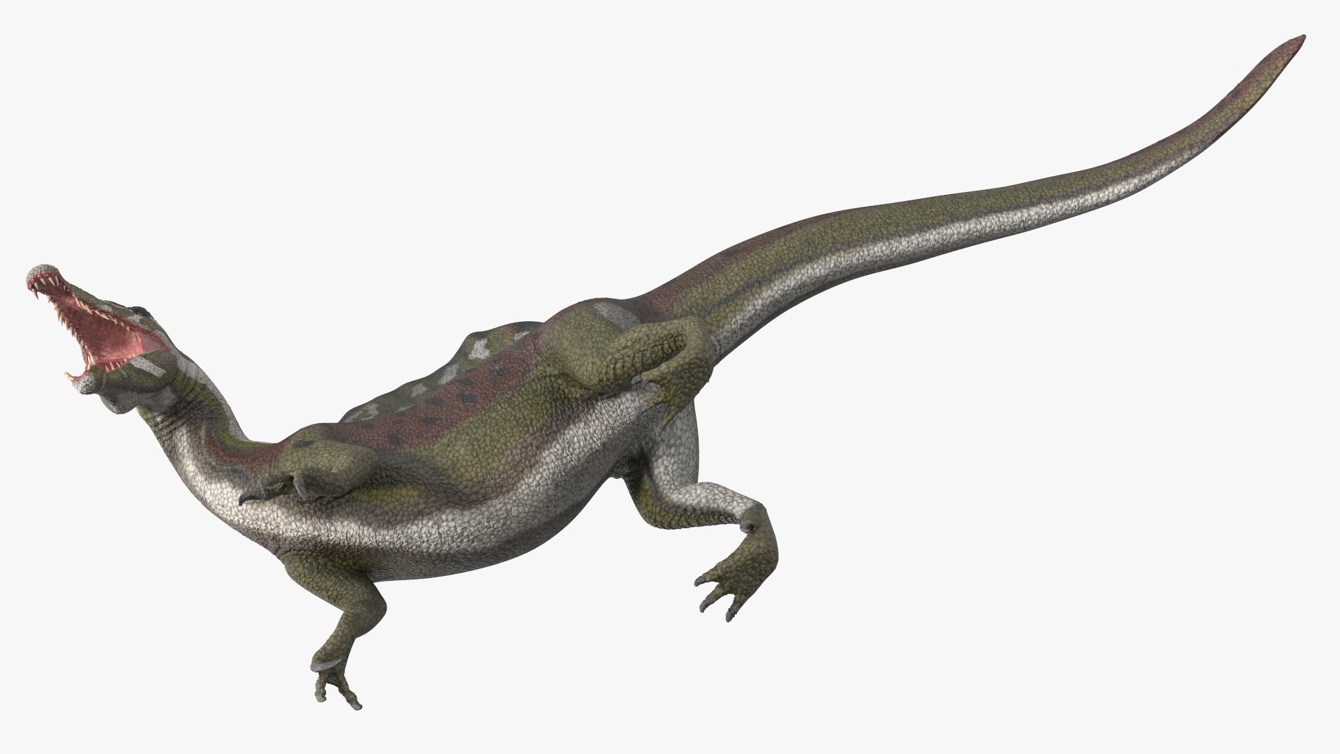 Jurassic Reptile Spinosaurus Green Roaring Pose 3D https://p.turbosquid.com/ts-thumb/nP/3m6FpU/jl/jurassicreptilespinosaurusgreenroaringposemb3dmodel010/jpg/1723826930/1920x1080/fit_q87/22c2a8a5d3c8290f4f43fa4f13b90364ab51b44c/jurassicreptilespinosaurusgreenroaringposemb3dmodel010.jpg