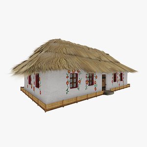 Ukrainian Vintage House