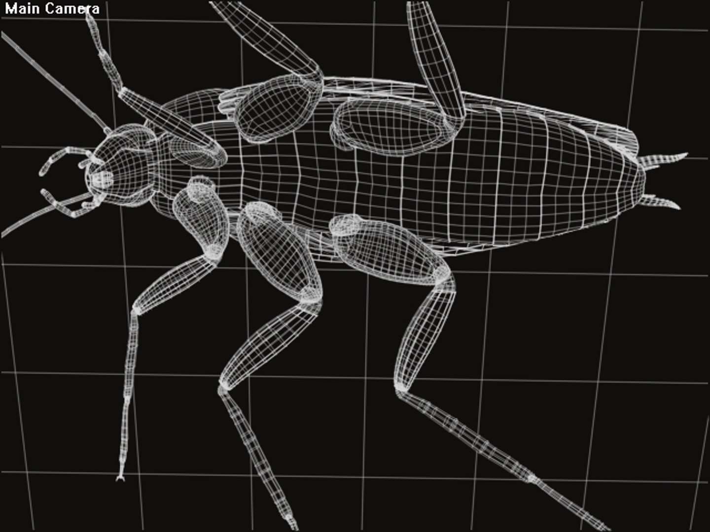 character animation 3d model