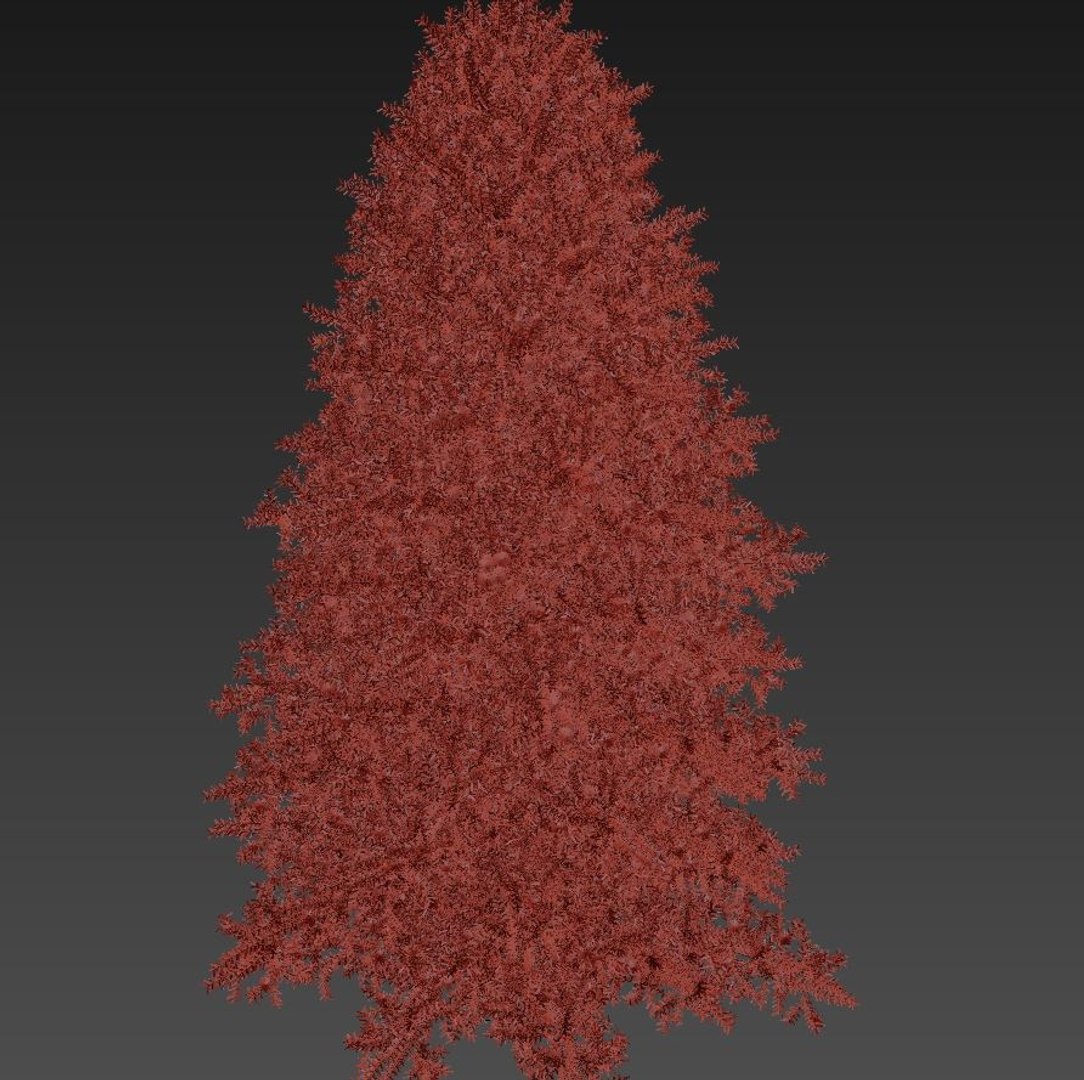 canadian fir-tree firs trees 3D model https://p.turbosquid.com/ts-thumb/nP/GCZYdk/EGFku88L/08/jpg/1506511206/1920x1080/fit_q87/e2007979ad3ee50e4b5b368e373c0b4ff94db1bc/08.jpg