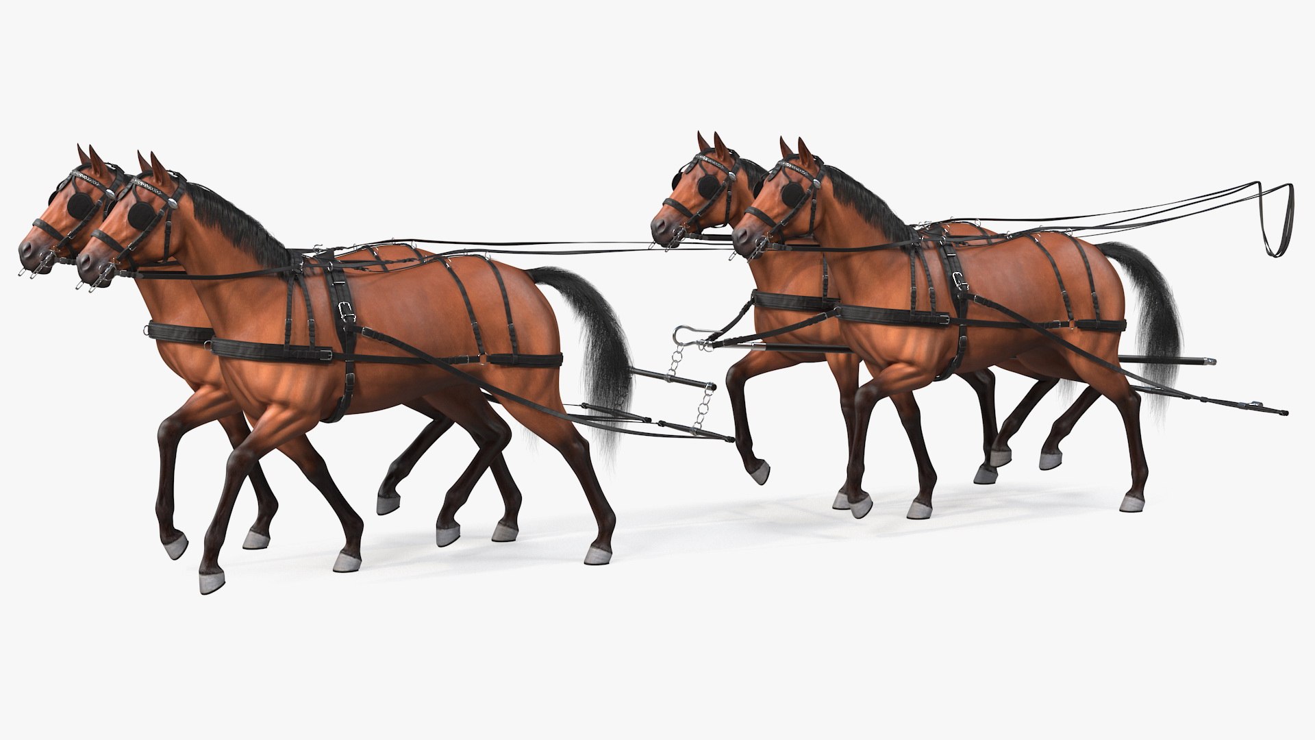 Team of Four Breast Collar Harness Walking Pose Fur 3D model preview