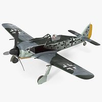 German WWII Fighter Aircraft FW 190 3D Model