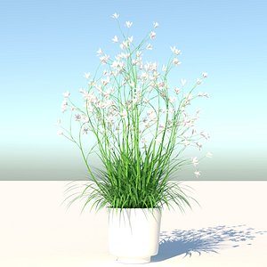 Flower 2 3D model