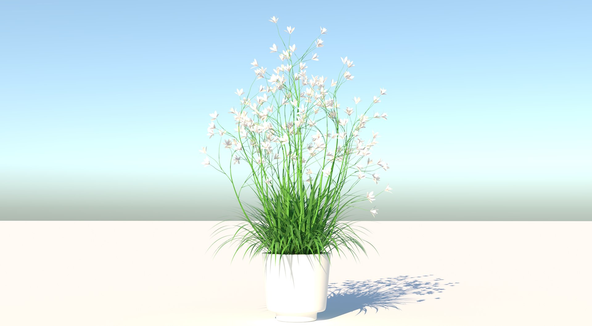 Flower 2 3D Model - TurboSquid 1717295