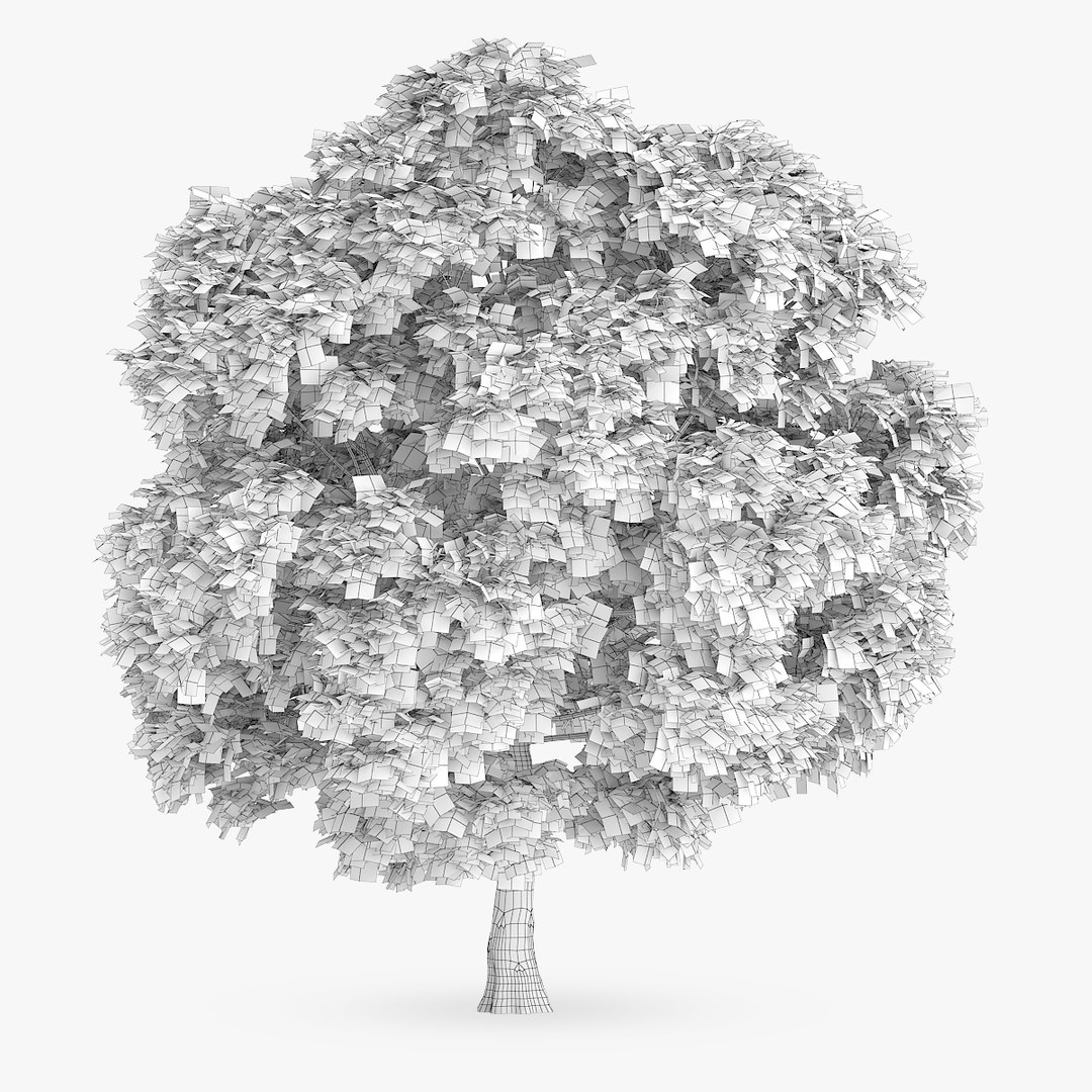 3d model of japanese chestnut 12 6m https://p.turbosquid.com/ts-thumb/nP/jZ4o0O/CEhJMm5A/1204copy/jpg/1445838246/1920x1080/fit_q87/7f0da763b212ac3f43be6347272977389411bedb/1204copy.jpg