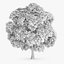 Japanese Chestnut Tree 12.6m