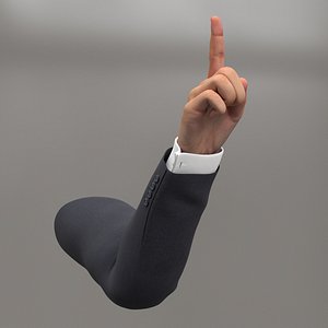 Male Arm Finger Forbid Animated Rigged for Maya