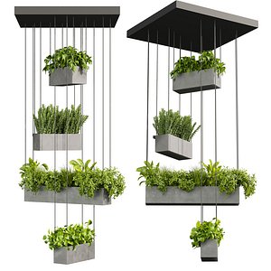 Collection plant vol 1017 Corona 7 max 2015 3D model