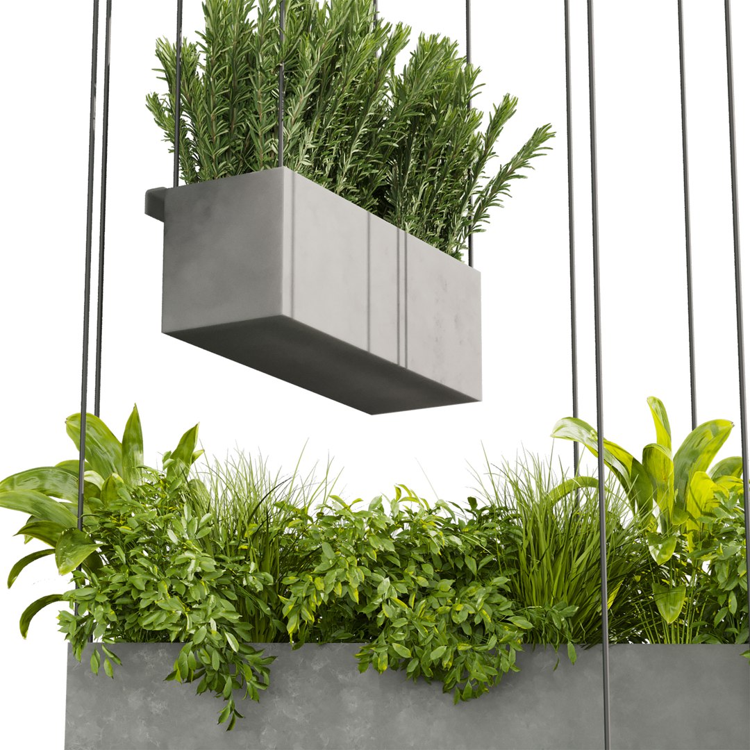 Collection plant vol 1017 Corona 7 max 2015 3D model https://p.turbosquid.com/ts-thumb/nP/thuFIB/NP/4/jpg/1789057922/1920x1080/fit_q87/f34cdbe61a62a0a58827d515a116e208e31c3fef/4.jpg