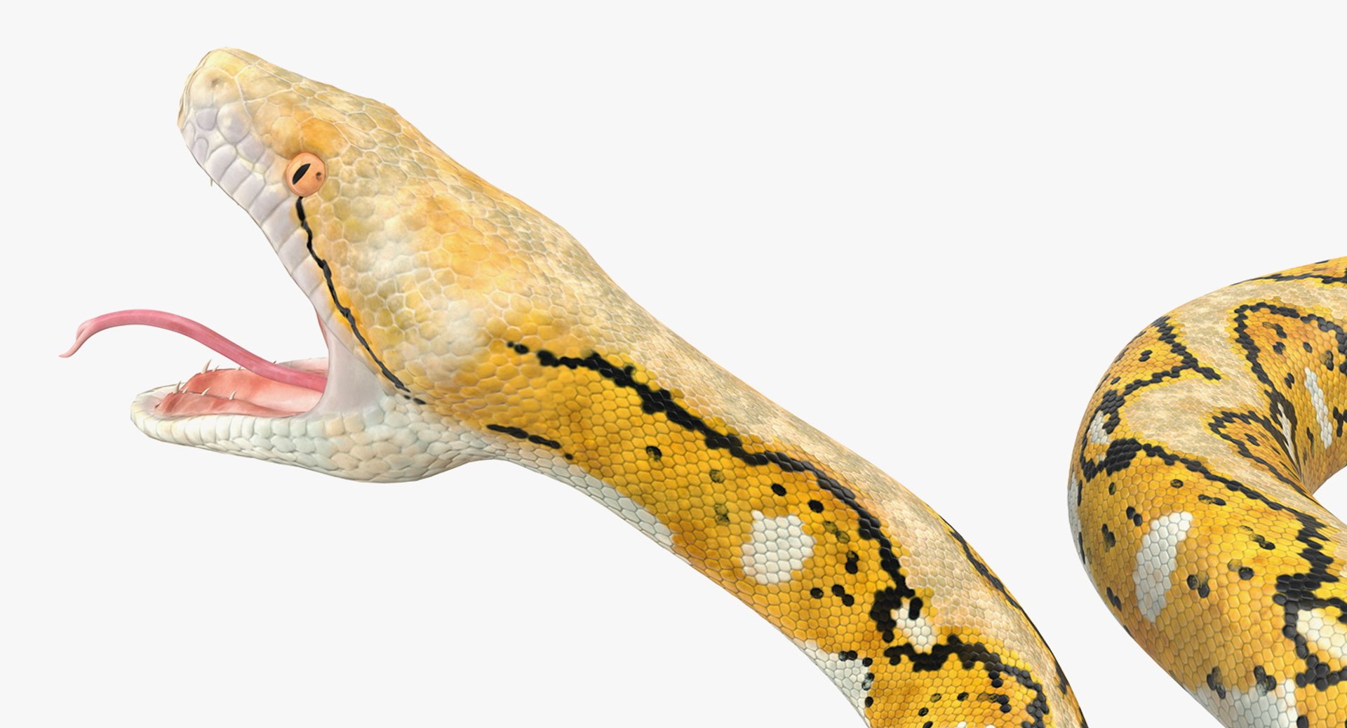 Yellow python snake rigged 3D - TurboSquid 1417656