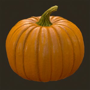 Pumpkin