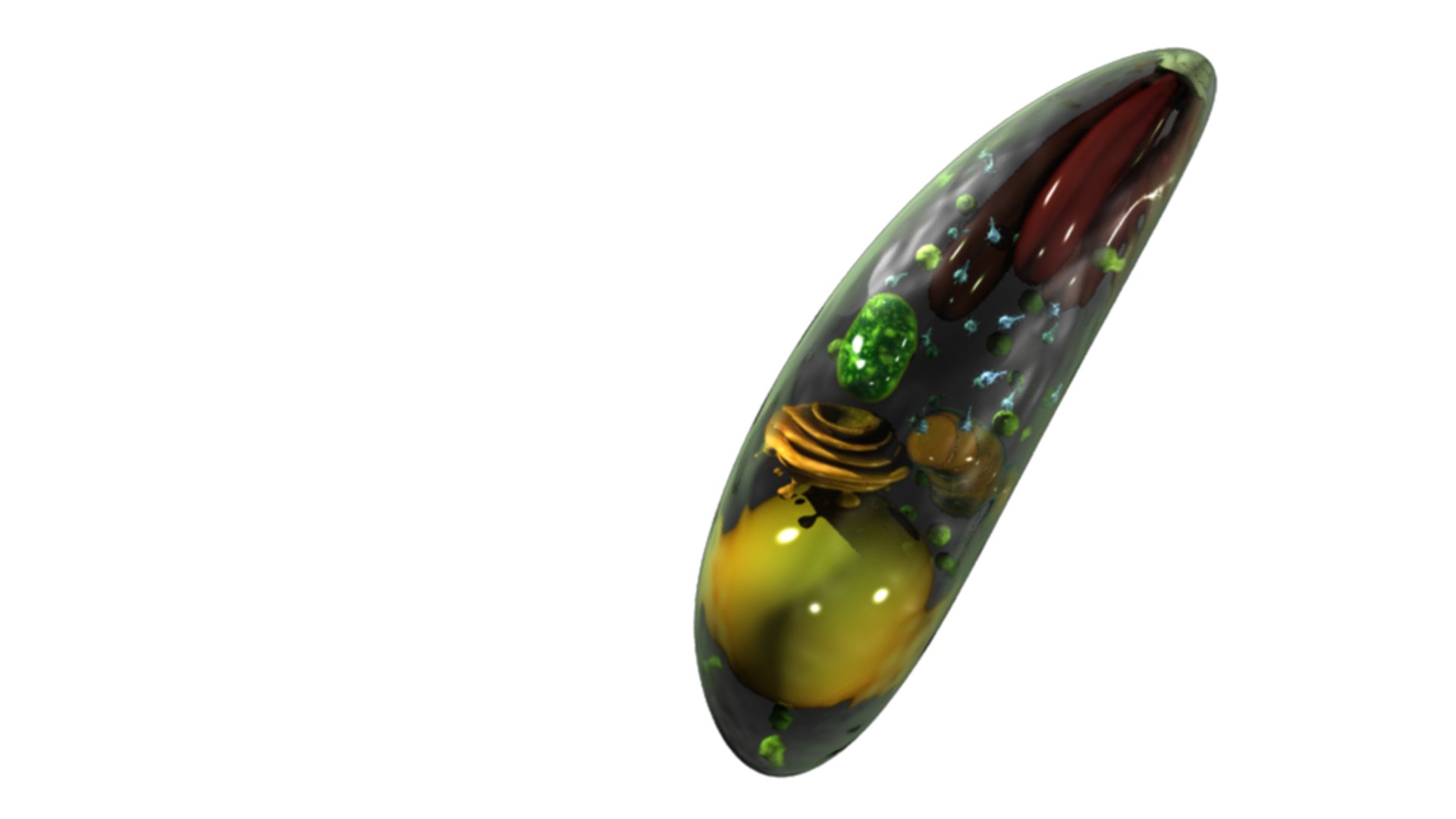 3d toxoplasma gondii model https://p.turbosquid.com/ts-thumb/nQ/5Op8uL/1zViXCwl/toxoplasmagondii_mr_v02/png/1424682913/1920x1080/fit_q87/d99061210440b1cacd73b50487f832df2096c7ee/toxoplasmagondii_mr_v02.jpg
