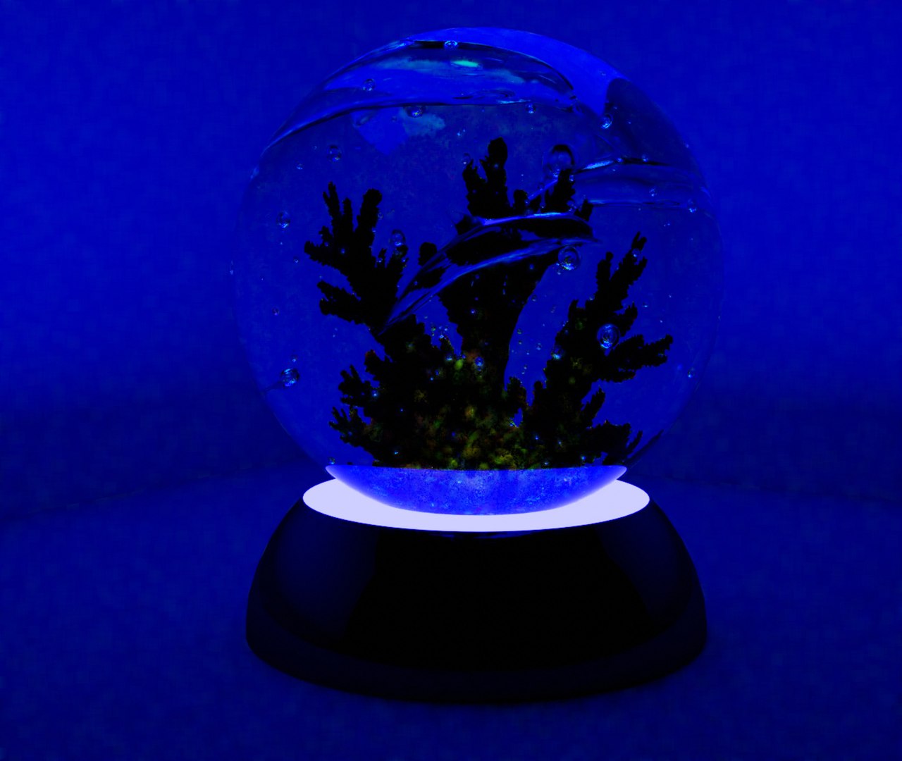 Night light with dolphins model https://p.turbosquid.com/ts-thumb/nQ/CAWjmG/D1/0240/jpg/1649751770/1920x1080/fit_q87/d173d7e7368ceba140e99ea0552cd90d56e38094/0240.jpg