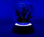 Night light with dolphins