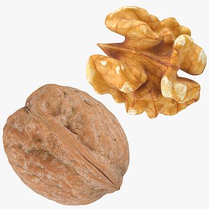 3D model Walnut and Walnut Shell Collection