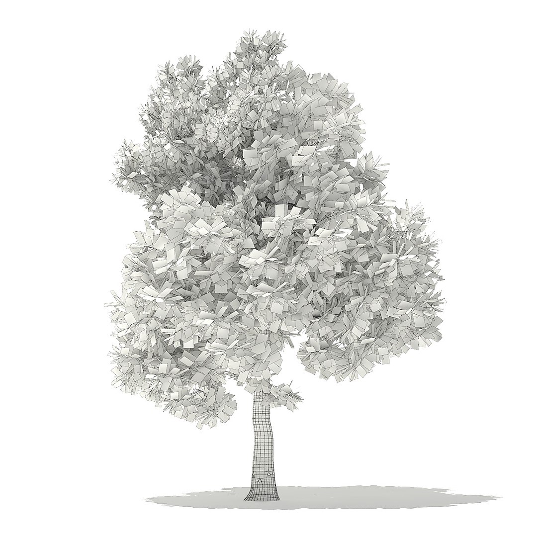 trees deciduous american 3D https://p.turbosquid.com/ts-thumb/nQ/KXVgsJ/7kOUR2AU/cgaxis_models_109_2400grid/jpg/1552595690/1920x1080/fit_q87/32a3db2ad77727f9b936cea3c246758a2b6ed85e/cgaxis_models_109_2400grid.jpg
