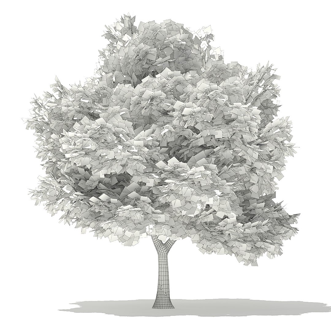 trees deciduous american 3D https://p.turbosquid.com/ts-thumb/nQ/KXVgsJ/AIrGz7dy/cgaxis_models_109_3900grid/jpg/1552595691/1920x1080/fit_q87/9b54f3328ac5fb724c9b86fa8a0927c170c32d4f/cgaxis_models_109_3900grid.jpg
