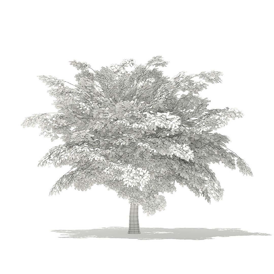 trees deciduous american 3D https://p.turbosquid.com/ts-thumb/nQ/KXVgsJ/MTXiDMHm/cgaxis_models_109_1100grid/jpg/1552595688/1920x1080/fit_q87/9098a53e95d7ce85edd5fa832ea07028405f21a2/cgaxis_models_109_1100grid.jpg