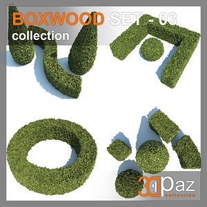 Boxwood - Set-3