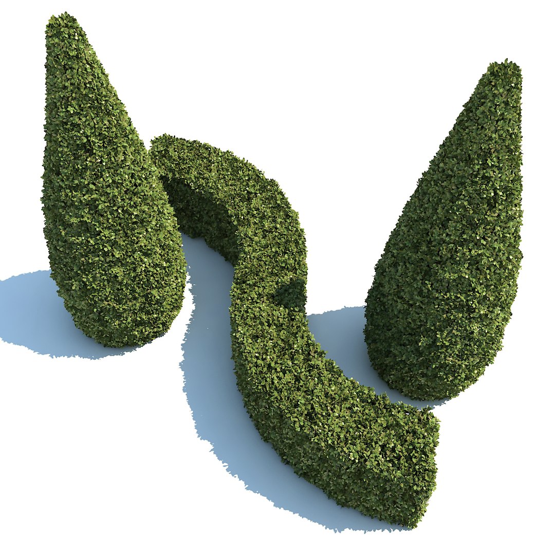 boxwood - set-3 3D model https://p.turbosquid.com/ts-thumb/nQ/LIr4Bm/lAHJ3if9/06/jpg/1494944693/1920x1080/fit_q87/5a3ea34912137e9e62b75adc8553c284dd0b4df7/06.jpg