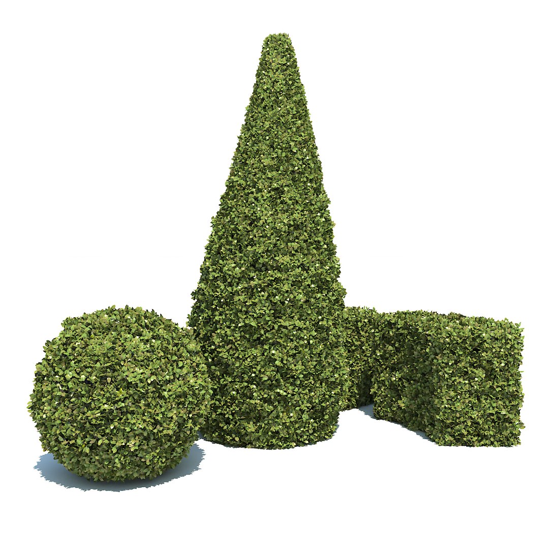 boxwood - set-3 3D model https://p.turbosquid.com/ts-thumb/nQ/LIr4Bm/x4h6FY0K/01/jpg/1494944693/1920x1080/fit_q87/0a9b2ef27303cc9219340b53b0d0b816d3c2532b/01.jpg