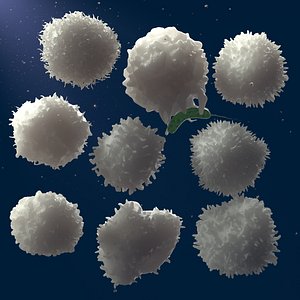 3D Lymphocytes pack 9 models