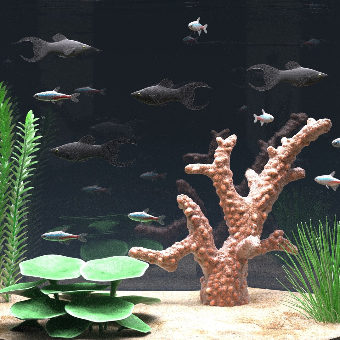 Aquarium Equipped Decorations 3d Model