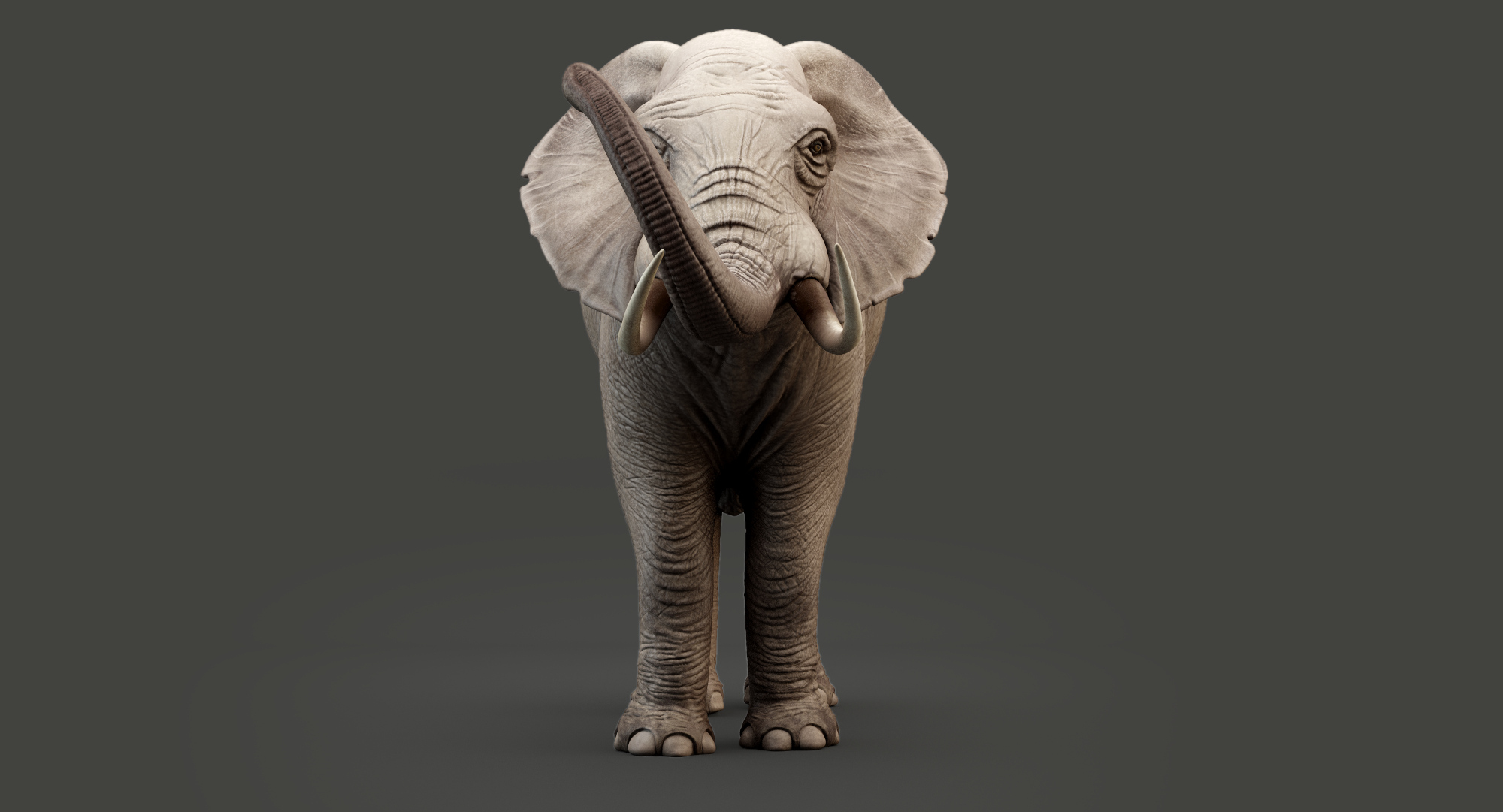 Elephant modeled rigging animation 3D - TurboSquid 1391046