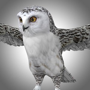 Snowy White Owl Low Poly Rig