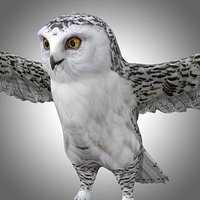 Snowy White Owl Low Poly Rig