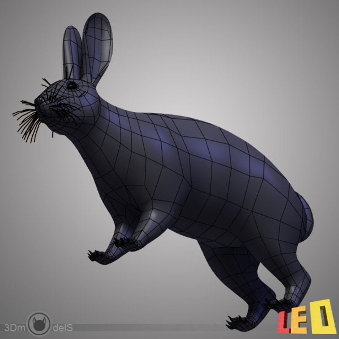 max rabbit anatomy https://p.turbosquid.com/ts-thumb/nQ/i96vRr/EaCDStIY/rabbit_anatomy_leo3dmodels_r4/jpg/1343840035/1920x1080/fit_q87/b75f0450cd51874edca8c4b7c230f4da7d73d735/rabbit_anatomy_leo3dmodels_r4.jpg