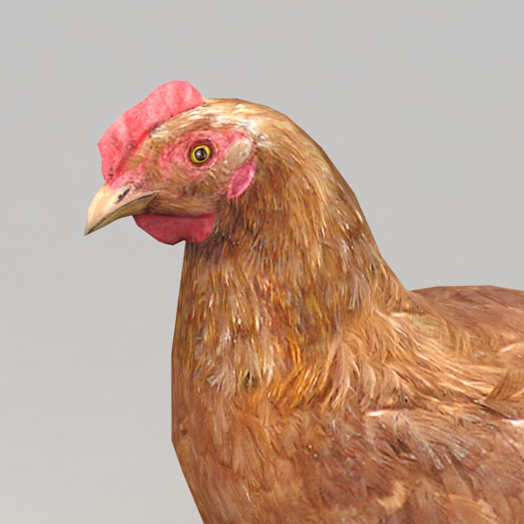 Rigged Brown Chicken 3d Model