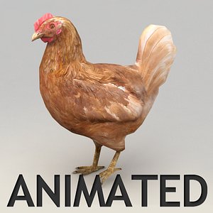 Lowpoly rigged brown chicken
