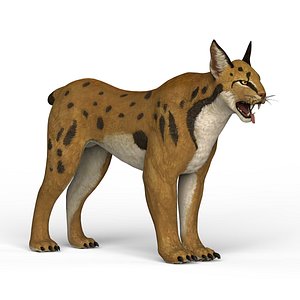 3D model ready lynx