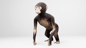 ape cartoon 3D model
