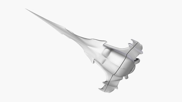 Wraith Dart Stargate Atlantis Ship Spaceship Model Prop
