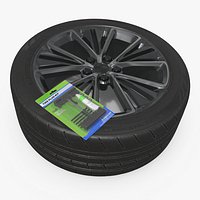 Tire Repair Tool Kit on Passenger Car Wheel