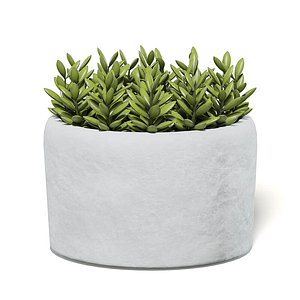 3D small plant stone pot model