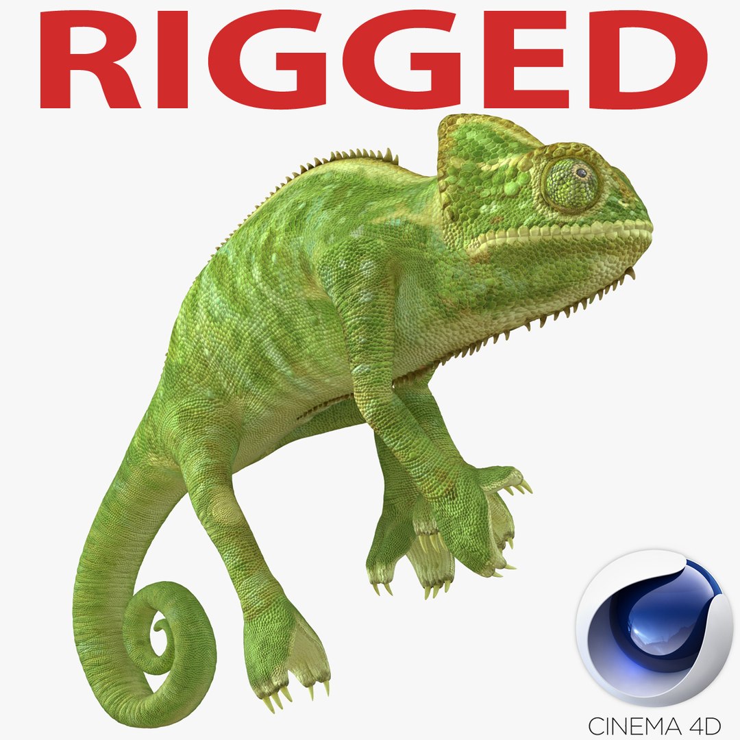 Chameleon Rigged for Cinema 4D 3D model preview