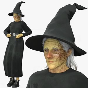 Realistic Rigged Terrible Witch Woman Character