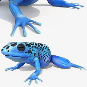 Blue Poison Dart Frog Rigged For Maya