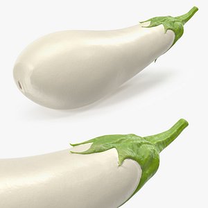 3D model Italian White Eggplant