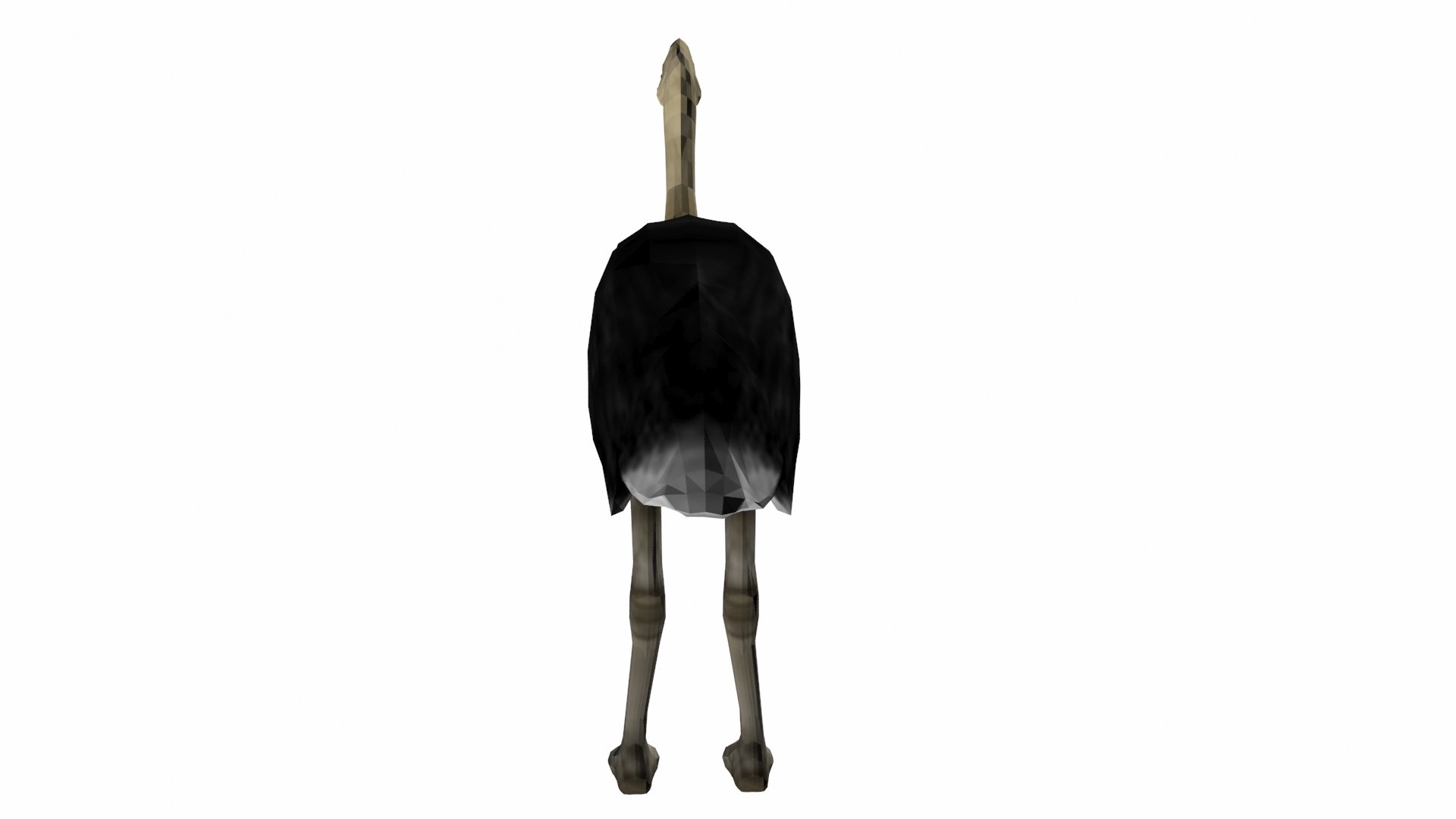 3D model ostrich https://p.turbosquid.com/ts-thumb/nR/uVUBDZ/5Q/p6/jpg/1609592591/1920x1080/fit_q87/1b81ef90e045fab5ae549c28484c358c9a2937a0/p6.jpg