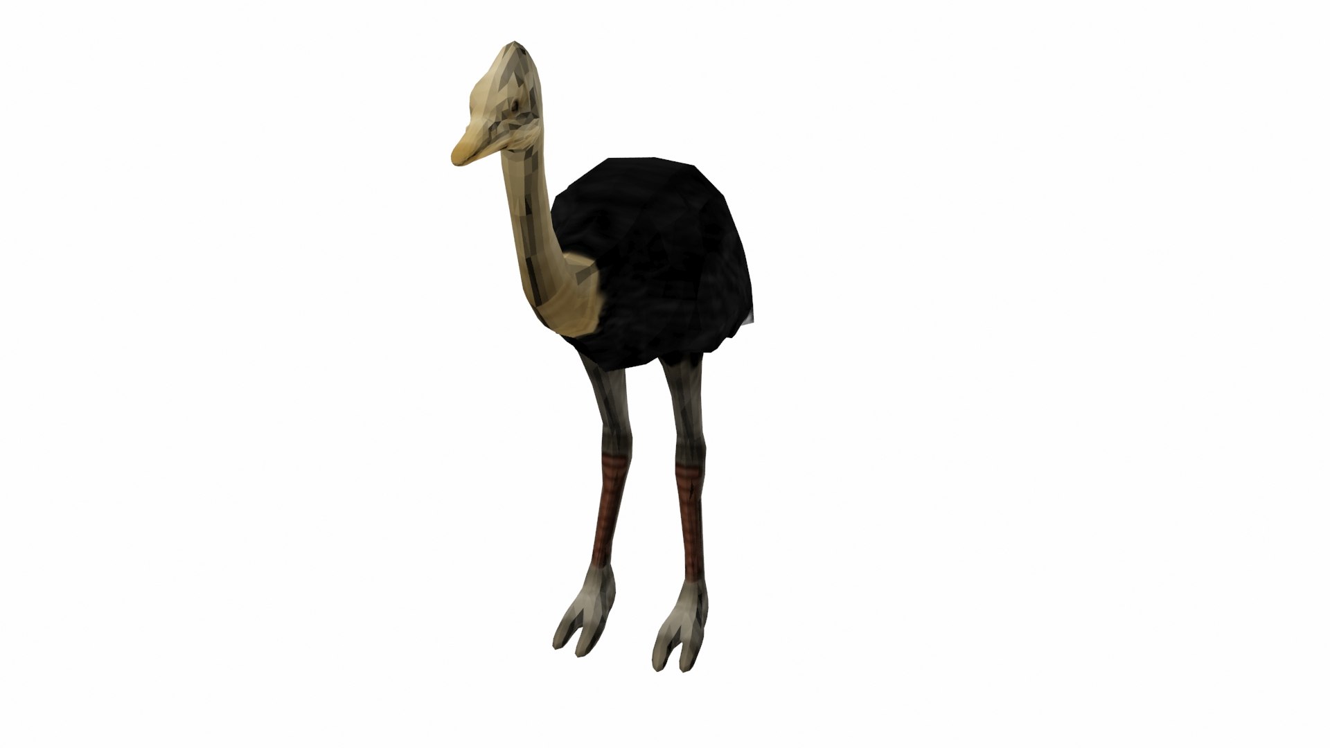 3D model ostrich - TurboSquid 1672277