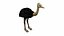 OSTRICH