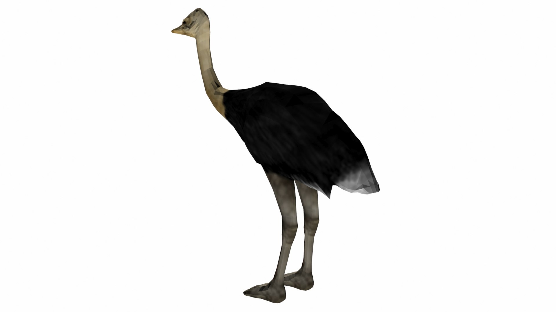 3D model ostrich https://p.turbosquid.com/ts-thumb/nR/uVUBDZ/Wa/p5/jpg/1609592591/1920x1080/fit_q87/fbb941bef6d5a8b02caf205427e3480ce5307877/p5.jpg